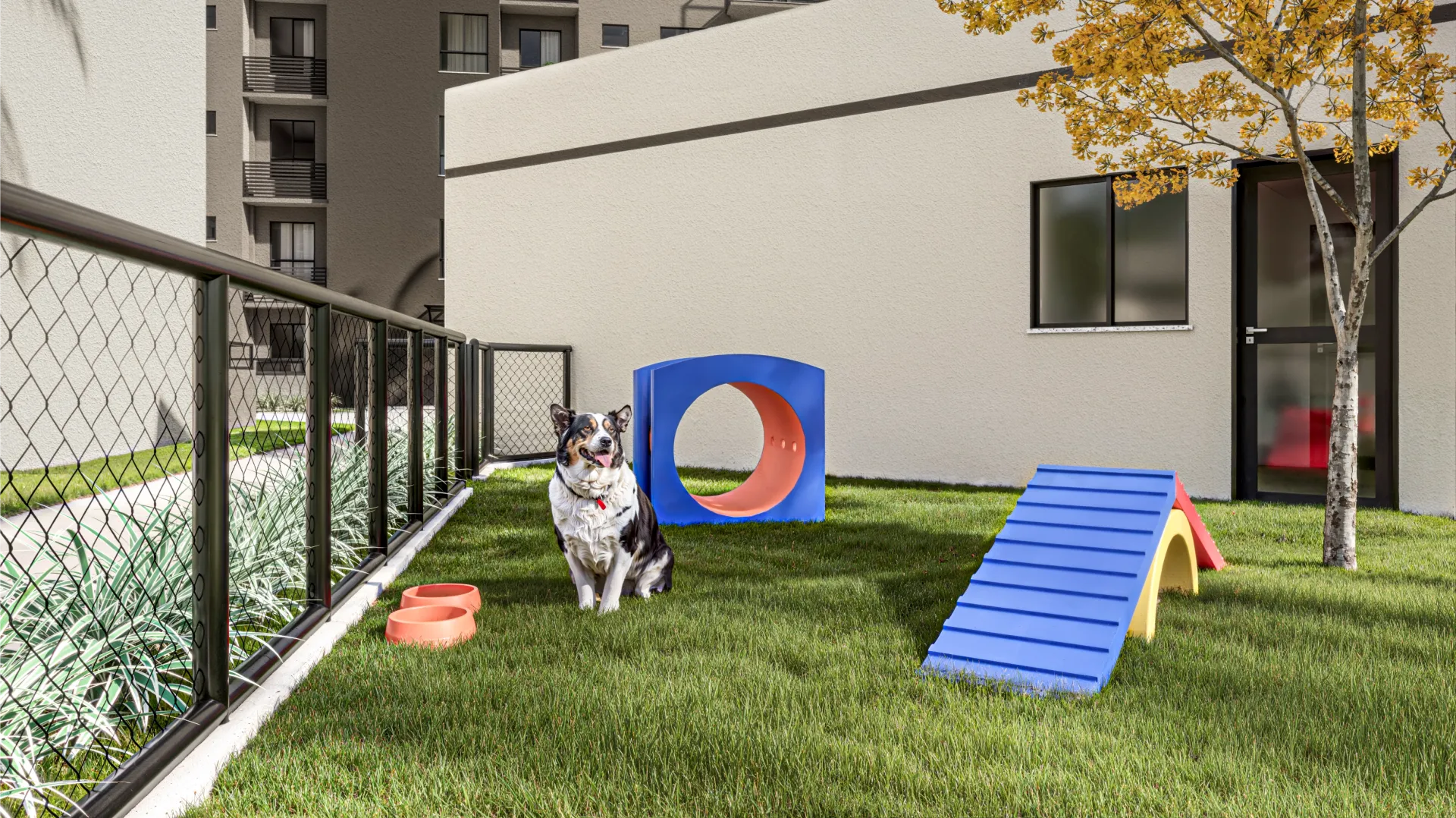 Petplay
